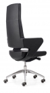 Shiny